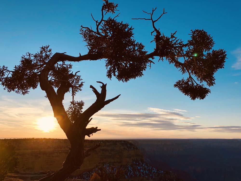 グランドキャニオン